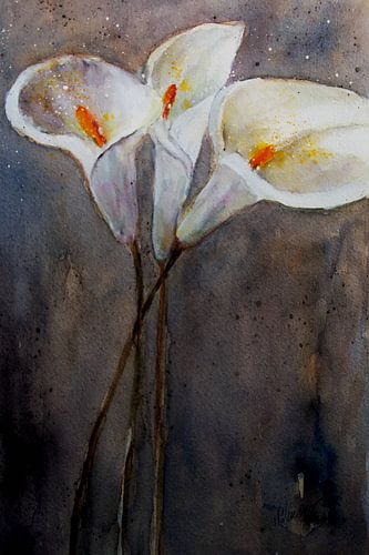 Calla Drie bloemen