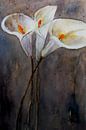 Calla - Drei Blüten von Christine Nöhmeier Miniaturansicht
