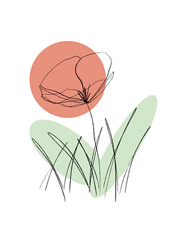 Dessin au trait représentant un coquelicot