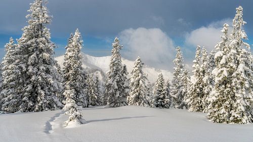 Winter hiking in the Nagelfluhkette. Landscape with a view of the Riedberger Horn