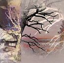 Tree Layers 8 by Dorothy Berry-Lound thumbnail