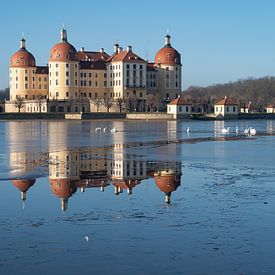 Schloss Moritzburg und sein Spiegelbild von Adriana Müller
