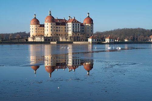 Kasteel Moritzburg en zijn spiegelbeeld