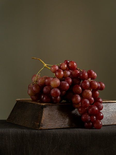 Nature morte avec une branche de vigne par Natalia Balanina
