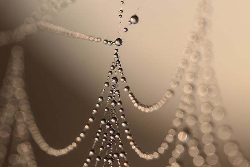 Pearls by Trudy M. Simons-Pos