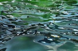 Water by Ready Or Not