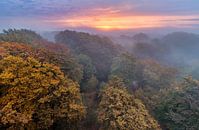 Kapwälder im Herbst von Dennisart Fotografie Miniaturansicht