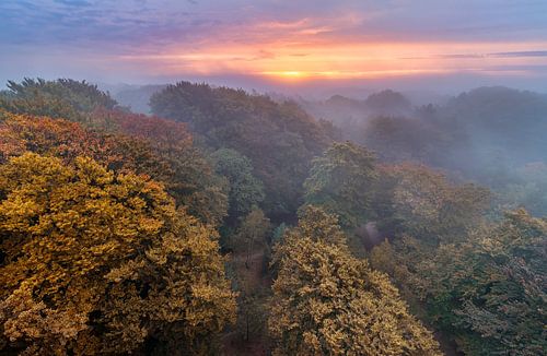 Les forêts du Cap en automne