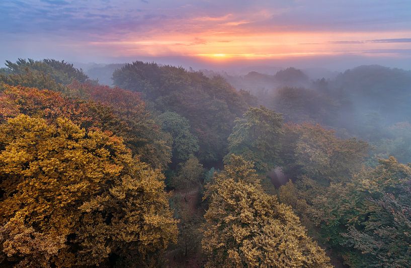 Kapwälder im Herbst von Dennisart Fotografie