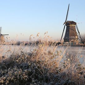 Kinderdijk, Alblasserdam von R Driessen