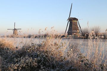 Kinderdijk, Alblasserdam sur R Driessen