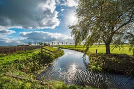 landscape by Peter Venema