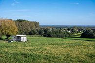 Hills of the Flemish Ardennes by Werner Lerooy thumbnail