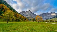 Esdoorn in Karwendel van Denis Feiner thumbnail