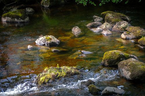 Mossige stenen in een rivier
