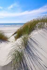 Sylt by Reiner Würz / RWFotoArt