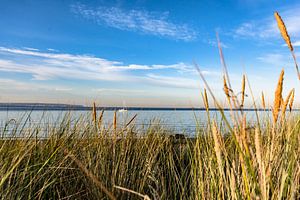 Strand in Binz