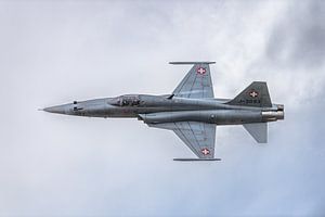 Northrop F-5E Tiger II der Schweizer Luftwaffe.