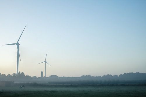 Éoliennes et cheval dans la brume du matin