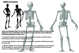 Squelettes 18869.10