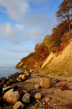 Herbst am Bodden von Ostsee Bilder