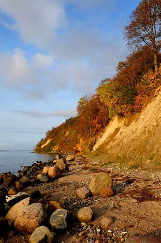 Herfst op de Bodden