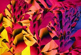 Hydrochinon von André Wieringa