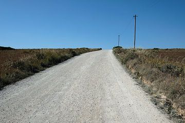 Leere Straße mit Strommasten