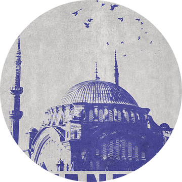 De prachtige Hagia Sophia van DEN Vector