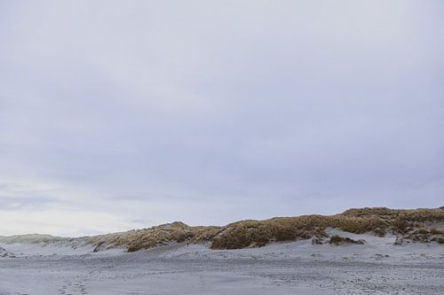 Dunes à Texel