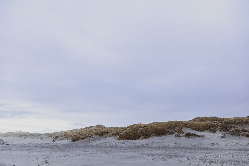 Dunes in Texel by Dixy Kracht