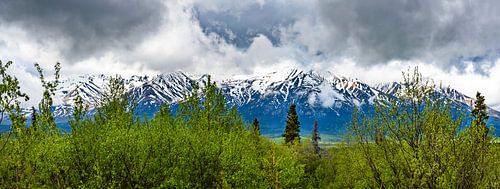 Besneeuwde bergruggen in Yukon, Canada
