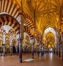 La colonnade de la mosquée - cathédrale, Mezquita cathédrale de Cordoue par Rene van der Meer Aperçu