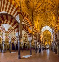The column hall of the mosque - cathedral, Mezquita-catedral de Cordoba