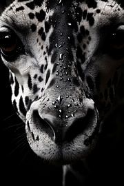Portrait d'animal en noir et blanc art minimaliste de la vie sauvage sur Thilo Wagner