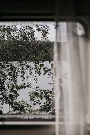 Nah an der Natur, Nordic | Nahaufnahme der skandinavischen Landschaft