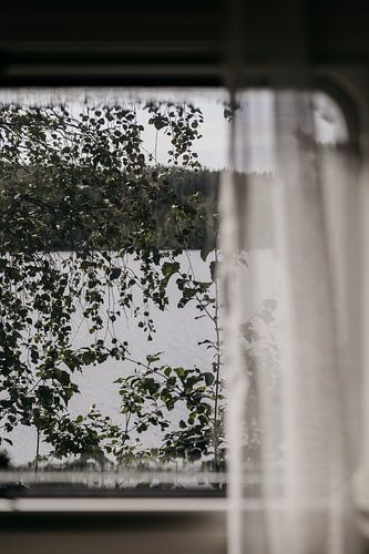 Nah an der Natur, Nordic | Nahaufnahme der skandinavischen Landschaft