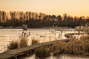 golden hour at the park "Het Vinne" von Koen Ceusters