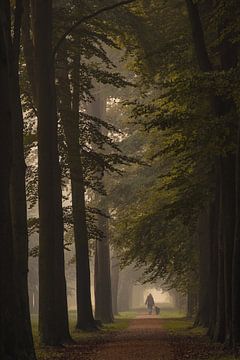 Promenade matinale avec le chien sur Moetwil en van Dijk - Fotografie