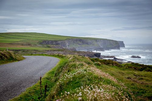 Route le long de la côte