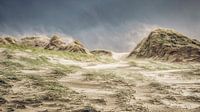 Niederländische Dünenlandschaft bei starkem Wind von eric van der eijk Miniaturansicht