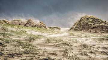 Paysage de dunes néerlandaises par vent fort sur eric van der eijk