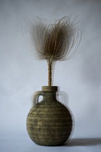 Distel in einer Vase von Jaco Verheul