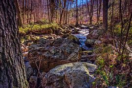Mountain river La Hoëgne by Rob Boon