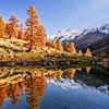 Herbst im Lötschental - Wallis - Schweiz von Achim Thomae Photography