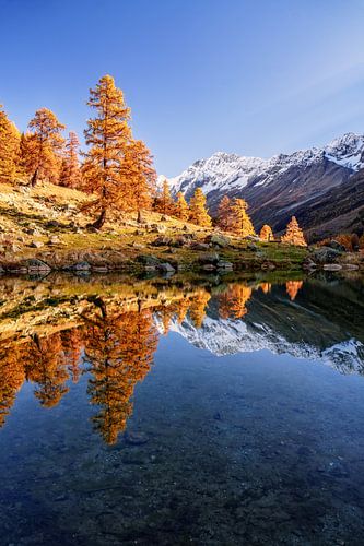 Herfst in het Lötschental - Wallis - Zwitserland