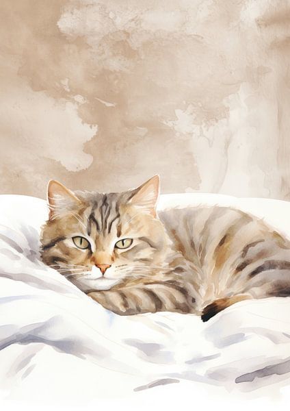 Home is where the Cat is van J.O. Han