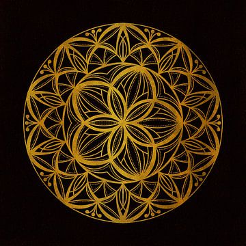 Mandala Gold Sabrina von Plus Passie