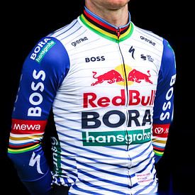 Remco Evenepoel 2026 von FreddyFinn