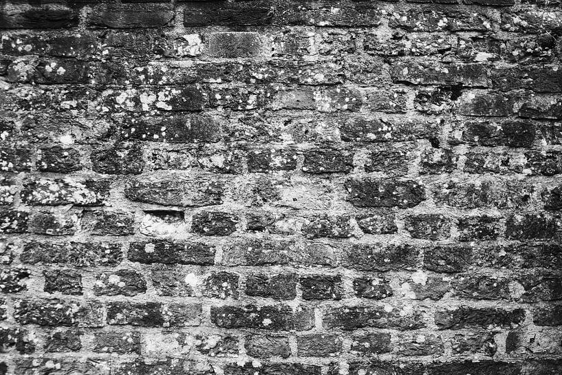 Mur de briques par Erik Reijnders
